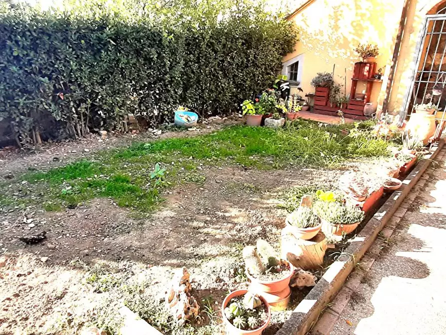 Immagine 16 di Appartamento in vendita  a Santa Luce