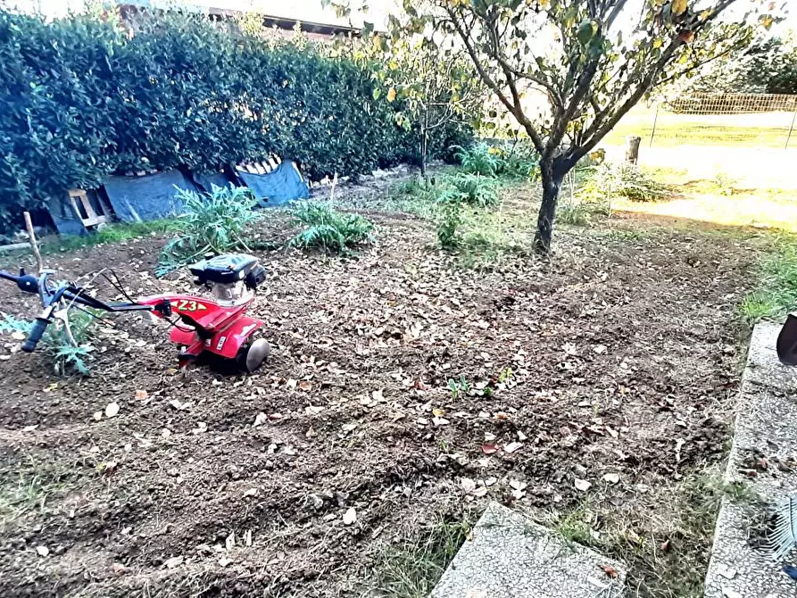 Immagine 15 di Appartamento in vendita  a Santa Luce