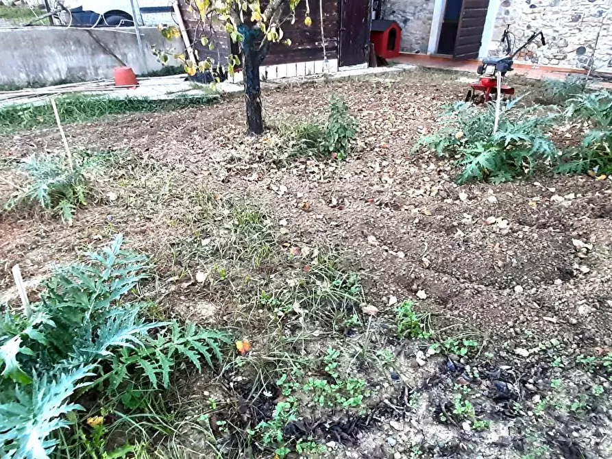 Immagine 3 di Appartamento in vendita  a Santa Luce