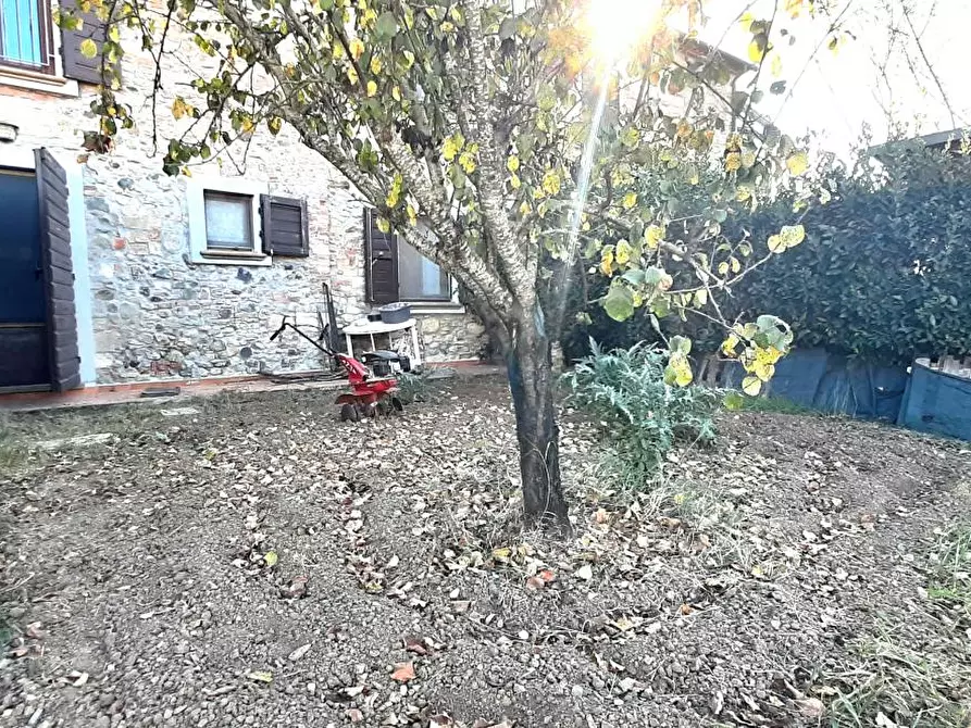 Immagine 1 di Appartamento in vendita  a Santa Luce