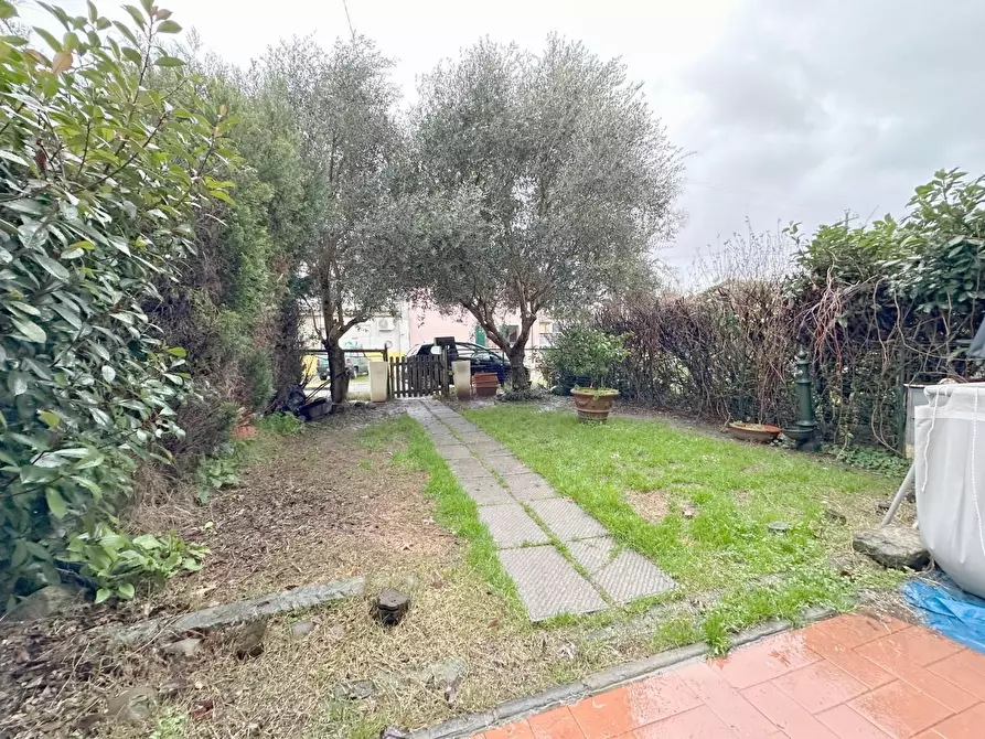 Immagine 19 di Terratetto in vendita  a Ponte Buggianese