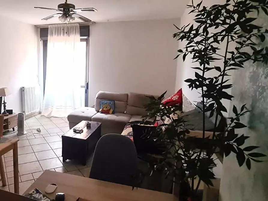 Immagine 27 di Appartamento in vendita  a Livorno