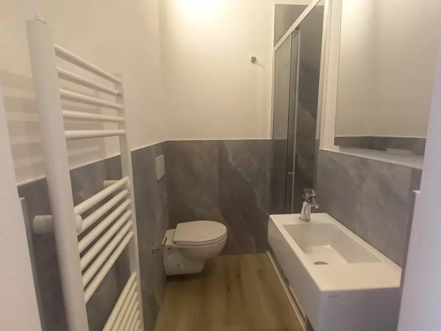 Immagine 14 di Appartamento in affitto  a Camaiore