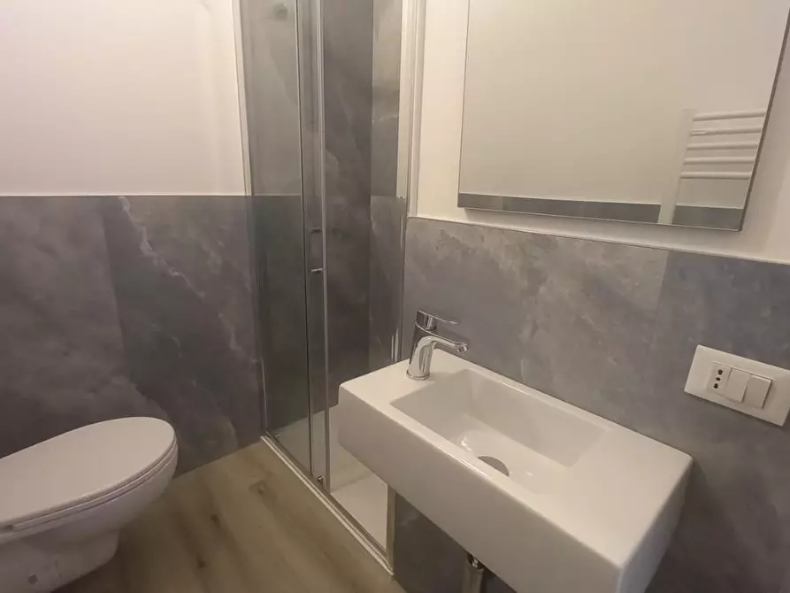 Immagine 15 di Appartamento in affitto  a Camaiore