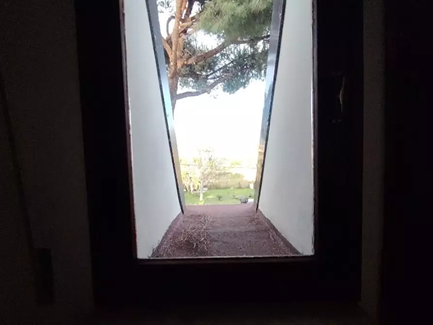 Immagine 6 di Mansarda in vendita  a Massa