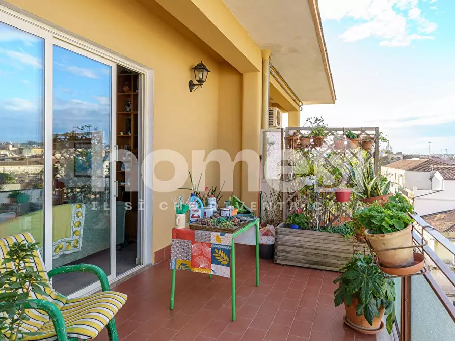 Immagine 3 di Appartamento in vendita  a Catania