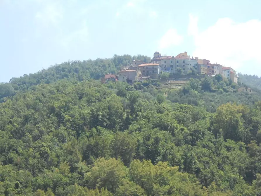 Immagine 27 di Casa semindipendente in vendita  a Ortonovo