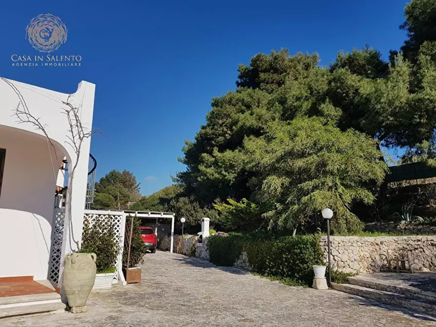 Immagine 11 di Villa in vendita  a Castrignano Del Capo