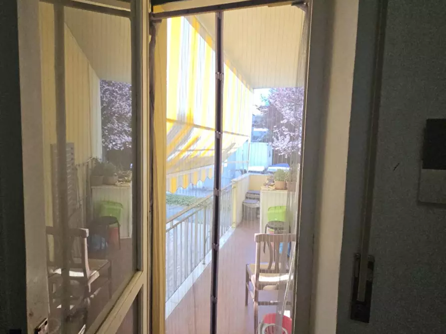 Immagine 3 di Appartamento in affitto  a Pisa