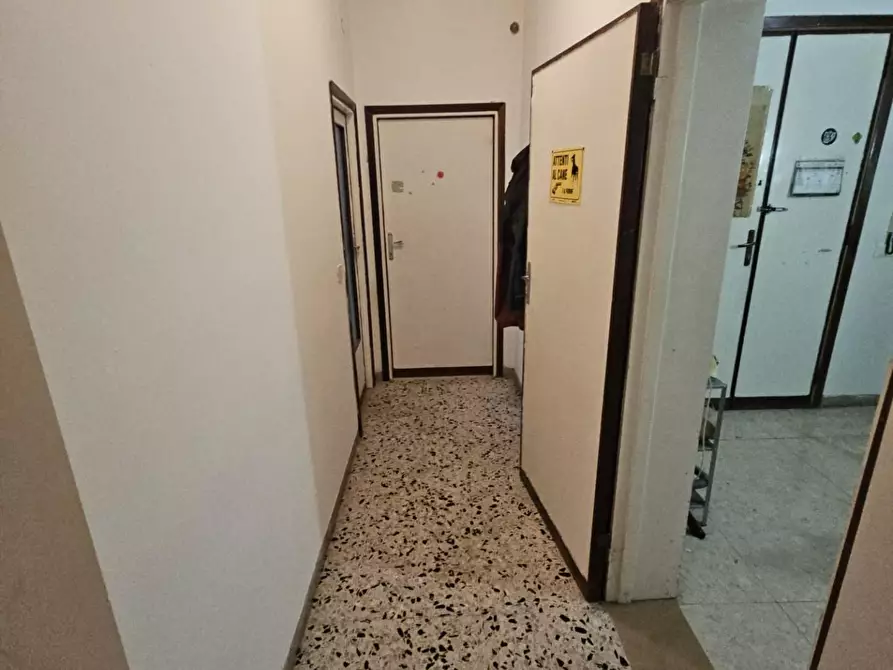 Immagine 15 di Appartamento in affitto  a Pisa