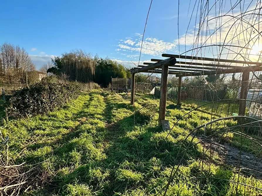 Immagine 38 di Terratetto in vendita  a Capannori