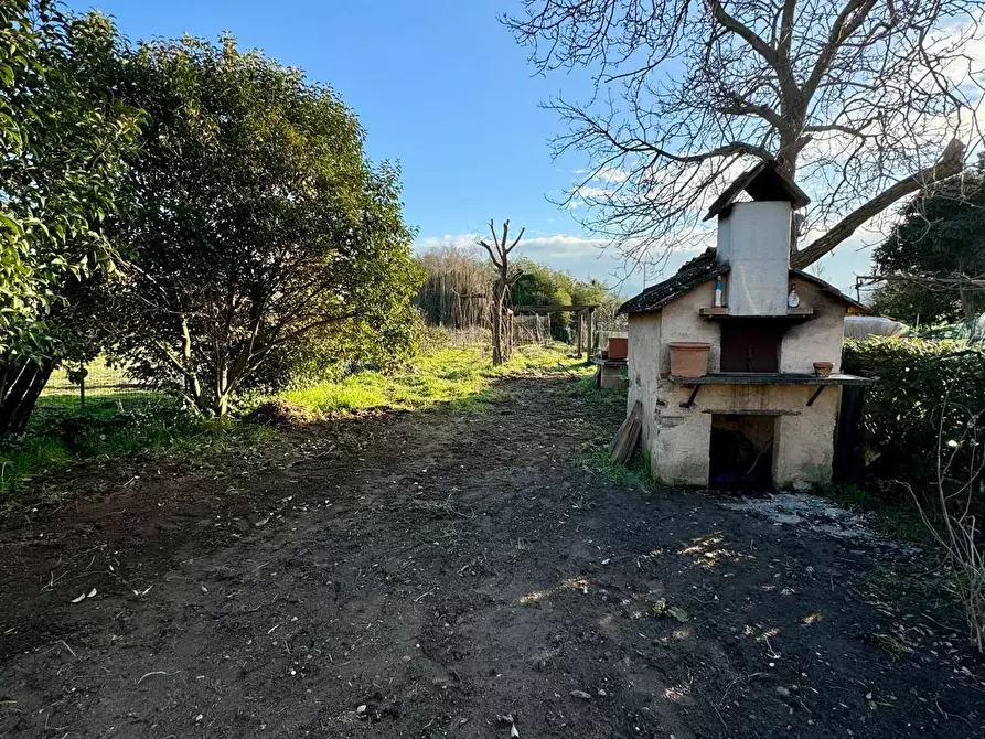 Immagine 39 di Terratetto in vendita  a Capannori