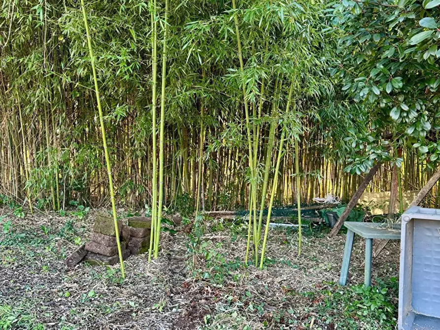 Immagine 35 di Terratetto in vendita  a Capannori