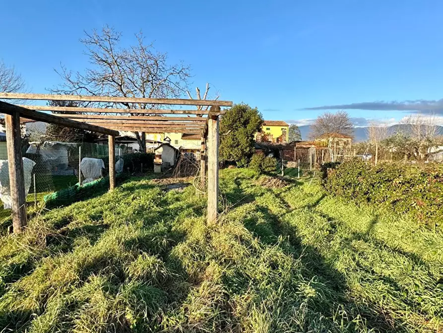 Immagine 36 di Terratetto in vendita  a Capannori