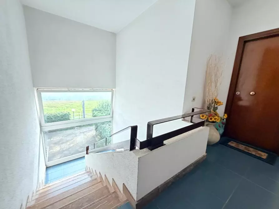 Immagine 19 di Appartamento in vendita  a Massa