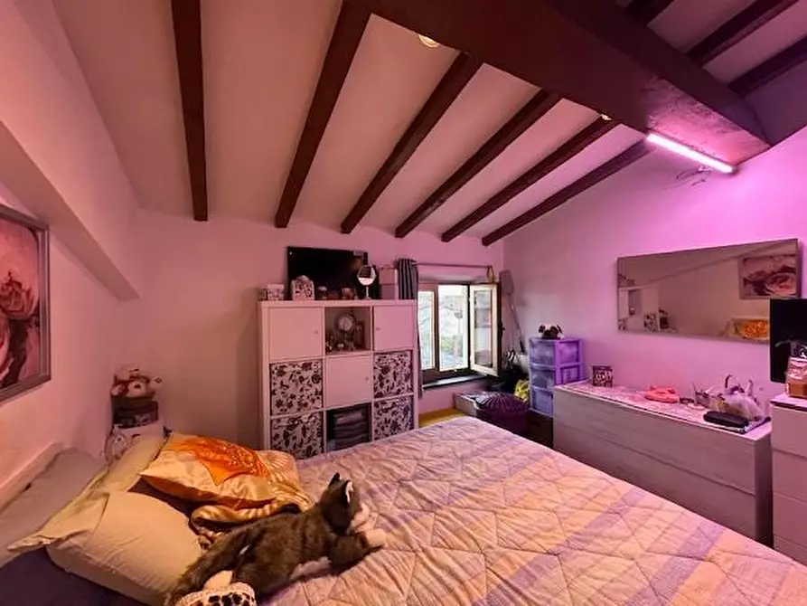 Immagine 18 di Appartamento in vendita  a Cascina