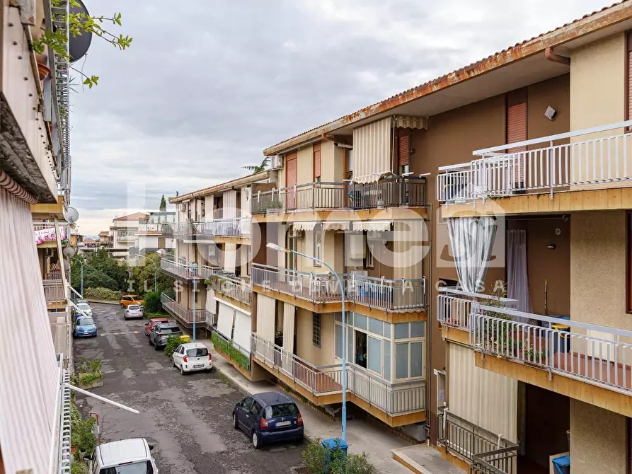 Immagine 13 di Appartamento in vendita  a Mascalucia