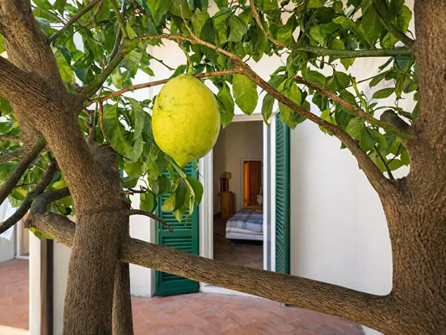 Immagine 35 di Appartamento in vendita  a Pisa