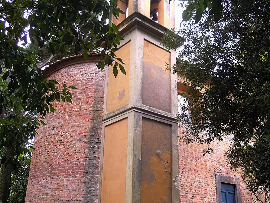 Immagine 4 di Casa colonica in vendita  a Crespina Lorenzana