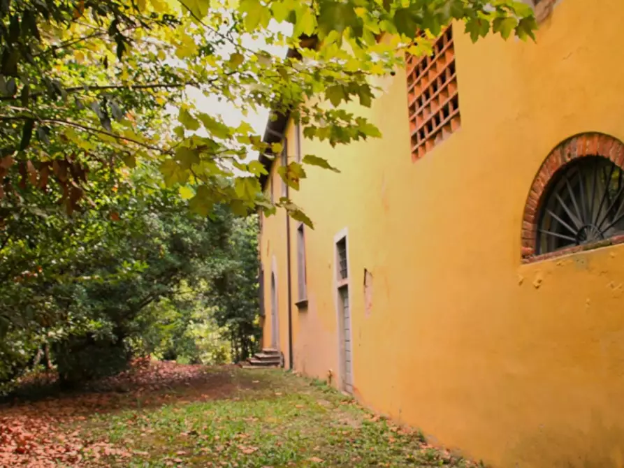 Immagine 13 di Casa colonica in vendita  a Crespina Lorenzana