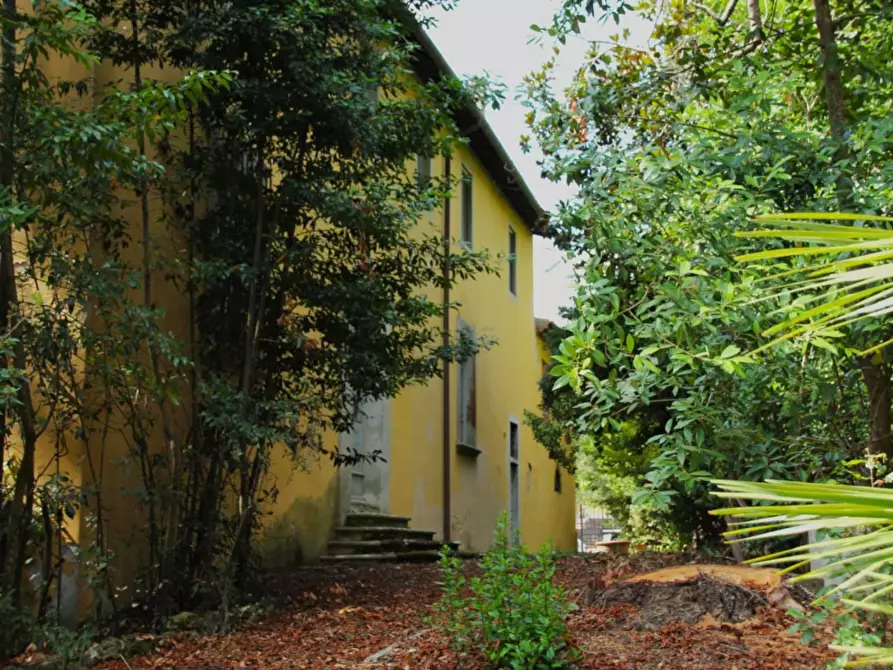 Immagine 18 di Casa colonica in vendita  a Crespina Lorenzana