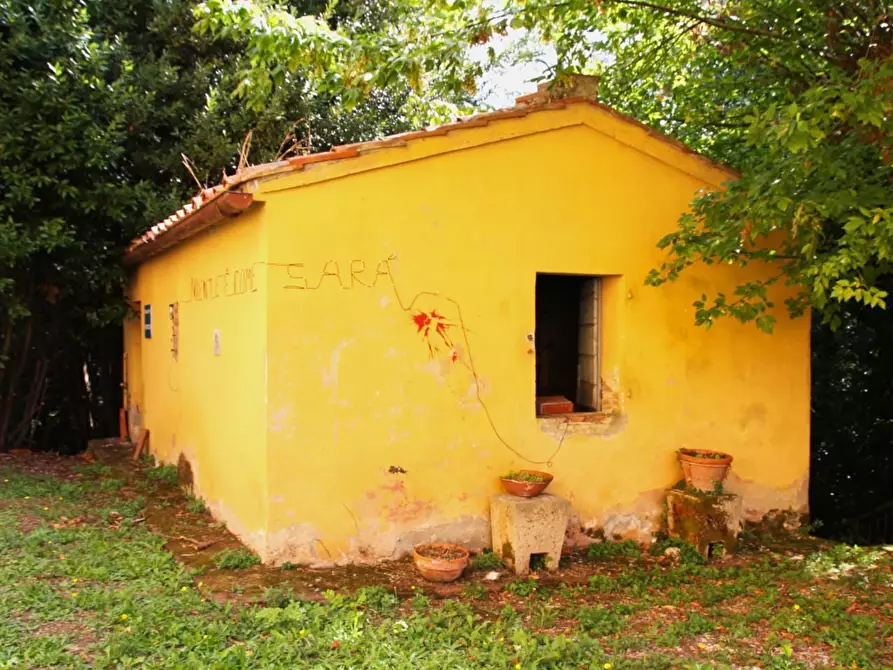 Immagine 19 di Casa colonica in vendita  a Crespina Lorenzana