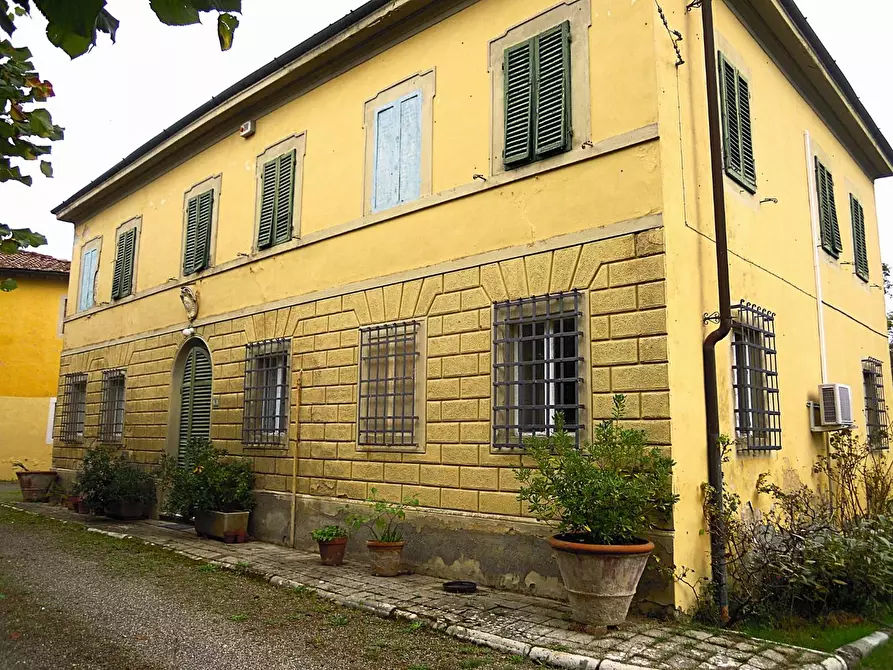 Immagine 3 di Casa colonica in vendita  a Crespina Lorenzana