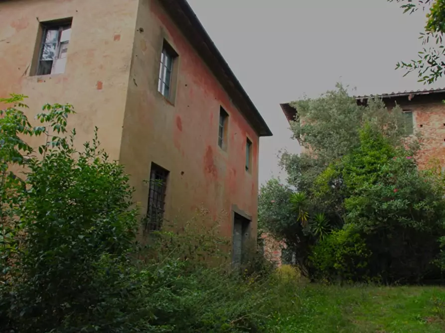 Immagine 21 di Casa colonica in vendita  a Crespina Lorenzana