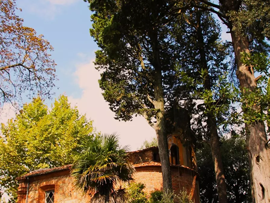 Immagine 16 di Casa colonica in vendita  a Crespina Lorenzana