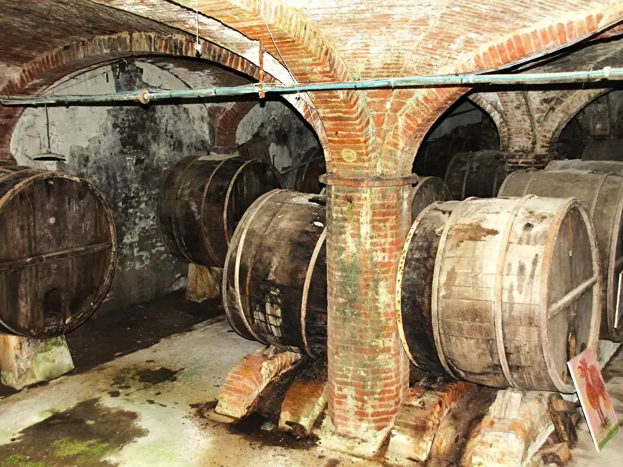 Immagine 10 di Casa colonica in vendita  a Crespina Lorenzana