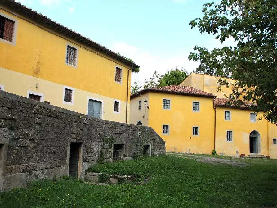 Immagine 9 di Casa colonica in vendita  a Crespina Lorenzana