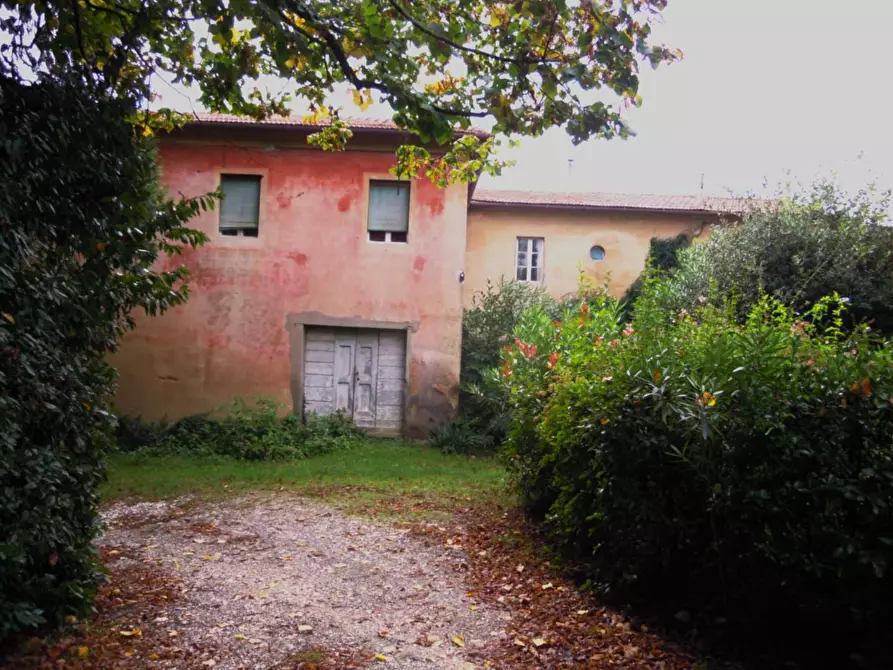Immagine 6 di Casa colonica in vendita  a Crespina Lorenzana