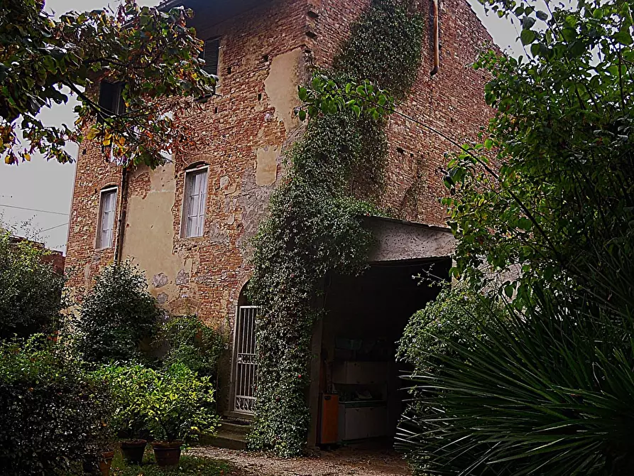 Immagine 5 di Casa colonica in vendita  a Crespina Lorenzana