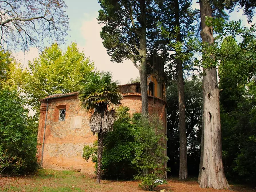 Immagine 15 di Casa colonica in vendita  a Crespina Lorenzana