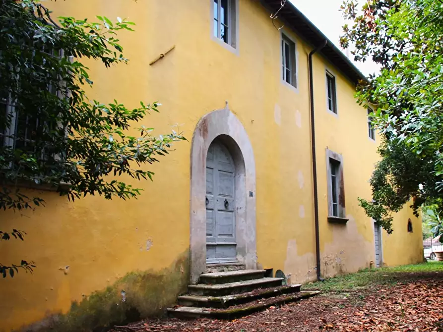 Immagine 14 di Casa colonica in vendita  a Crespina Lorenzana