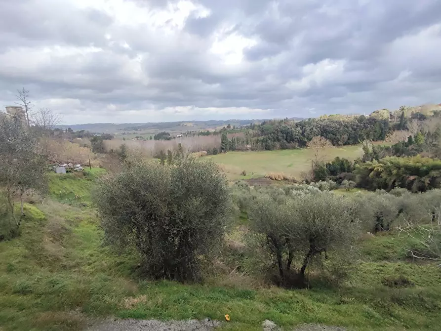 Immagine 15 di Appartamento in vendita  a Peccioli