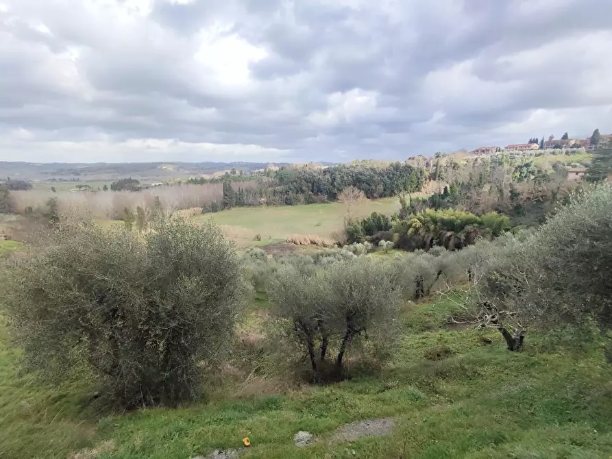 Immagine 16 di Appartamento in vendita  a Peccioli