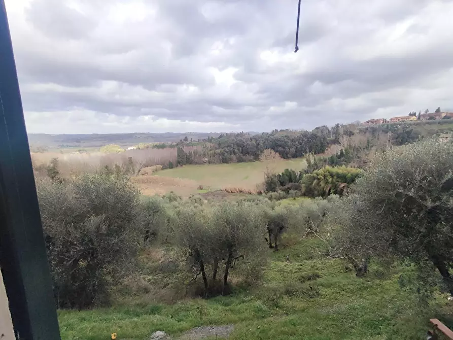 Immagine 13 di Appartamento in vendita  a Peccioli