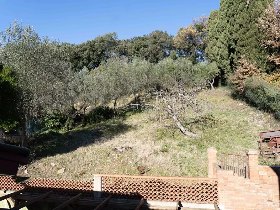 Immagine 38 di Villa in vendita  a Santa Luce