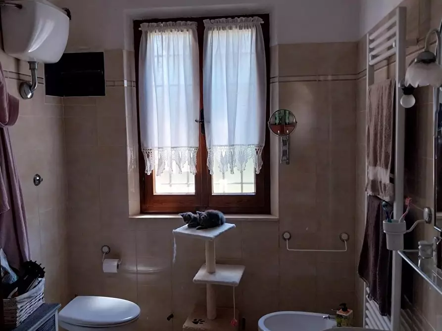 Immagine 7 di Casa indipendente in vendita  a Semproniano