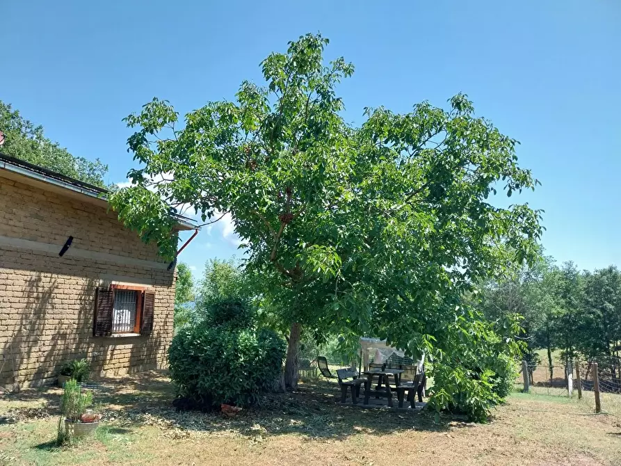 Immagine 14 di Casa indipendente in vendita  a Semproniano