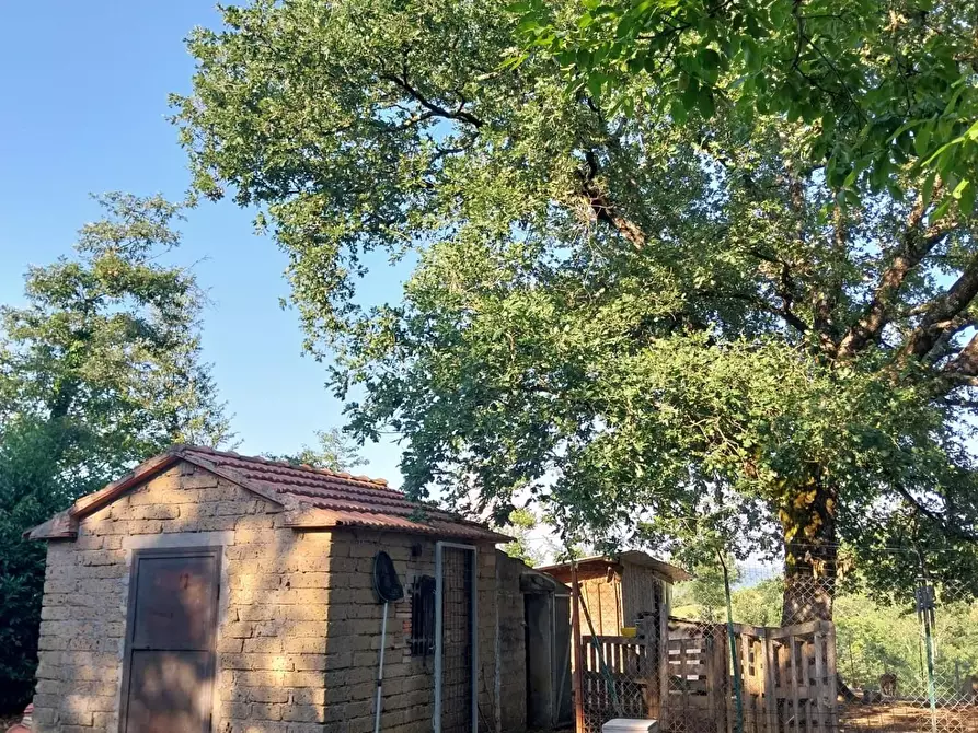 Immagine 17 di Casa indipendente in vendita  a Semproniano