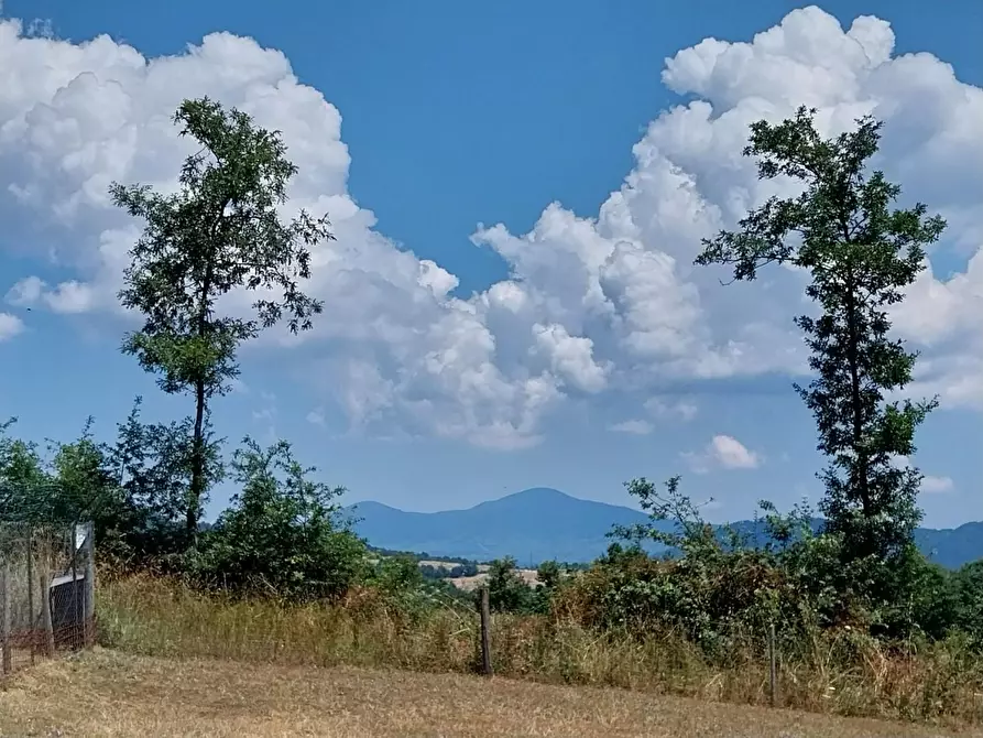 Immagine 10 di Casa indipendente in vendita  a Semproniano
