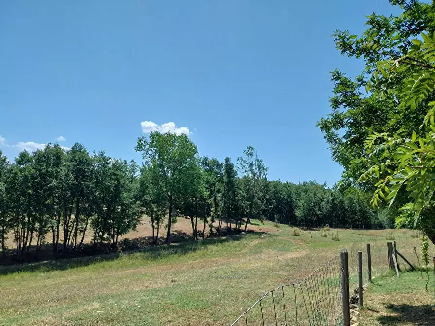 Immagine 13 di Casa indipendente in vendita  a Semproniano