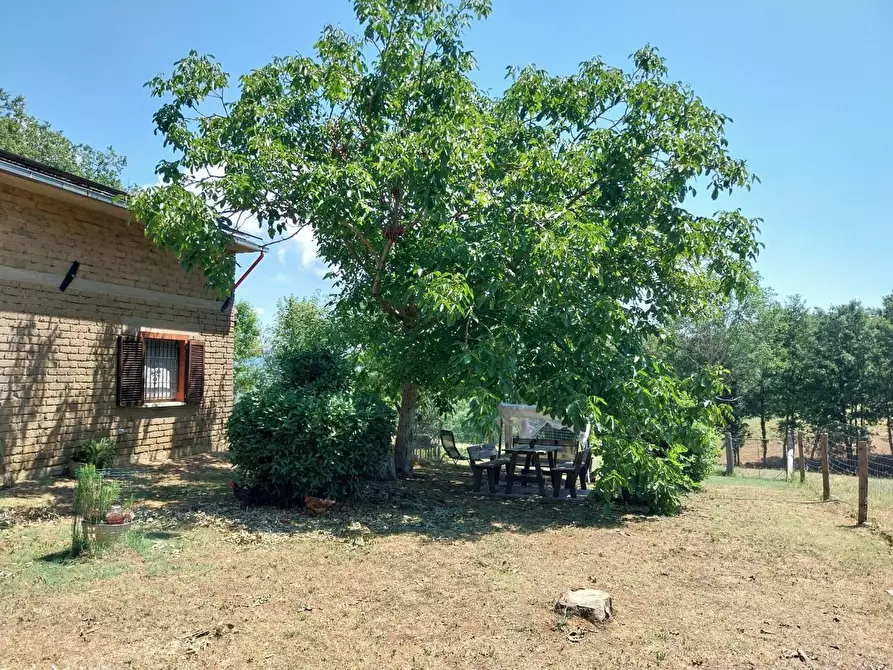Immagine 5 di Casa indipendente in vendita  a Semproniano