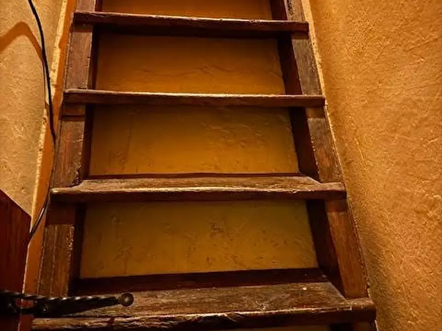 Immagine 15 di Terratetto in vendita  a Calci