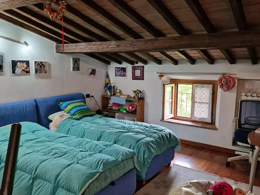 Immagine 24 di Casa colonica in vendita  a Siena