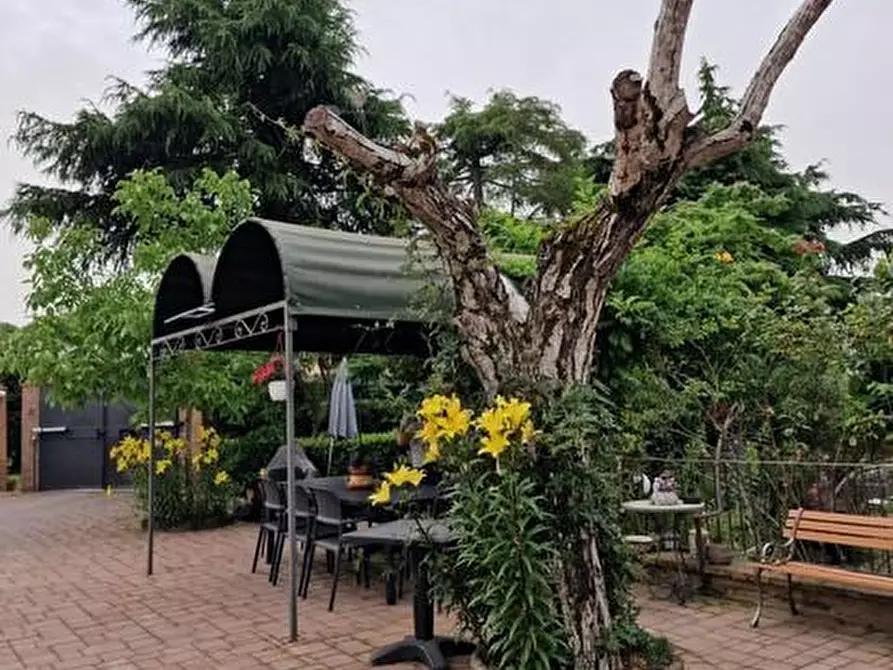 Immagine 28 di Casa colonica in vendita  a Siena