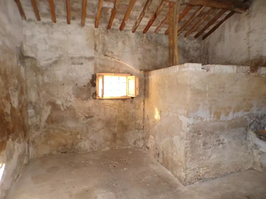 Immagine 5 di Terratetto in vendita  a Cascina