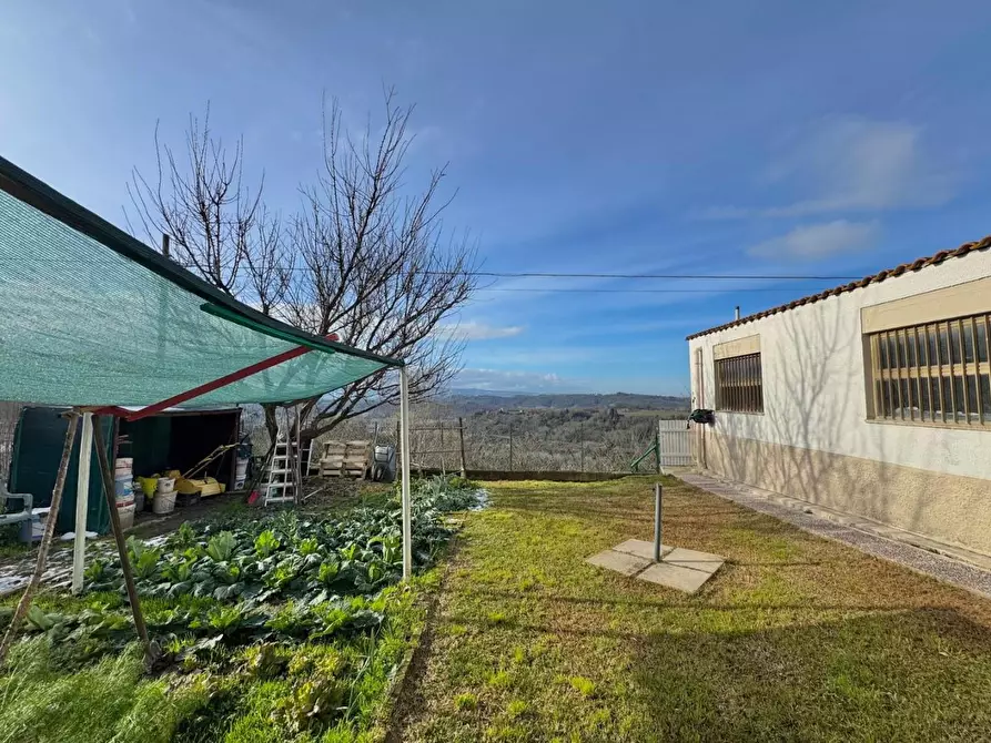 Immagine 31 di Casa bifamiliare in vendita  a Peccioli